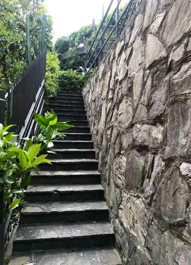 Villa Chichizola 拉帕洛 外观 照片